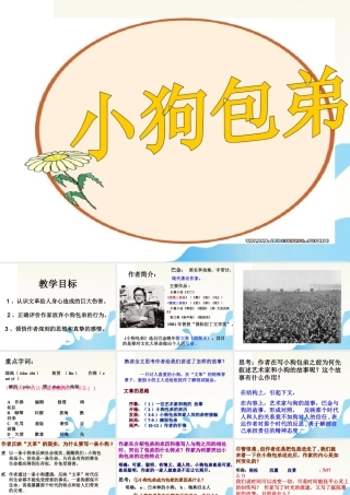 高中语文 小狗包弟优秀课件3 新人教版必修1 课件