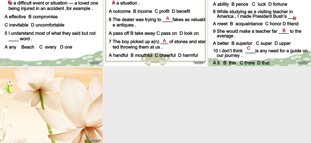 高二英语选修8 Unit4 using language language points 新课标 人教版 课件