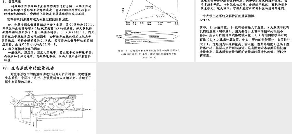 12生态系统中的能量流动