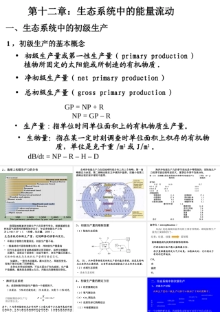 12生态系统中的能量流动