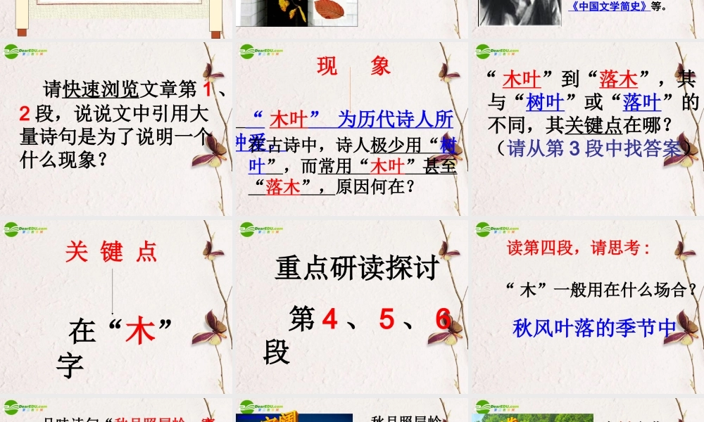 高中语文 32(说木叶)课件 新人教版必修5 课件