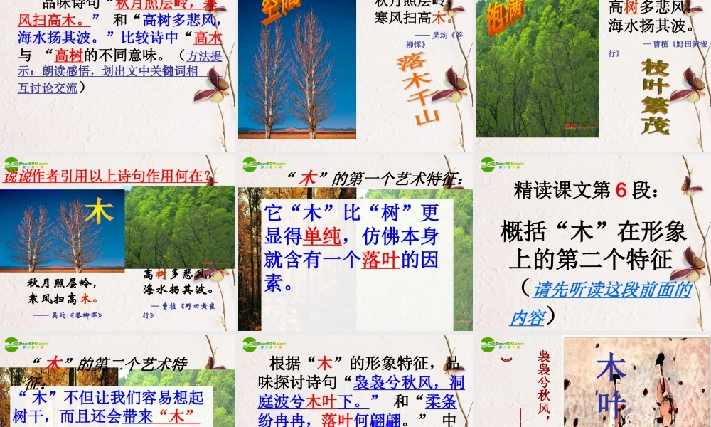 高中语文 32(说木叶)课件 新人教版必修5 课件