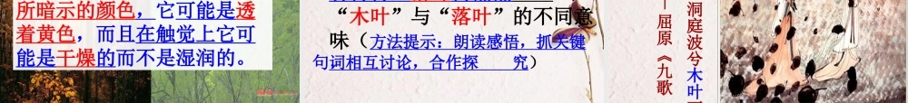 高中语文 32(说木叶)课件 新人教版必修5 课件