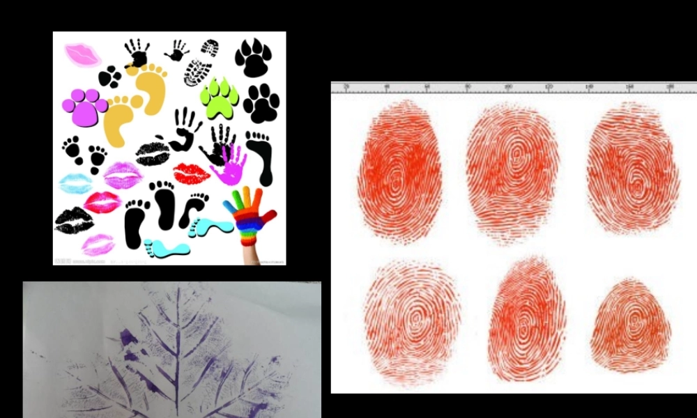 《拓印的魅力》课件