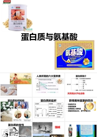 第二单元氨基酸蛋白质核酸-(2)