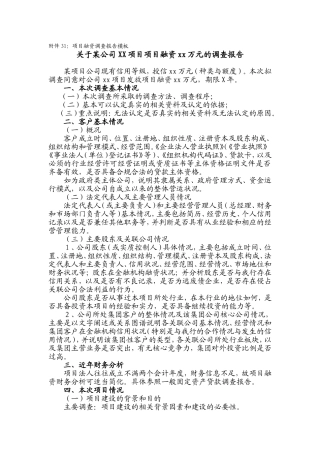 项目融资贷款调查报告模板