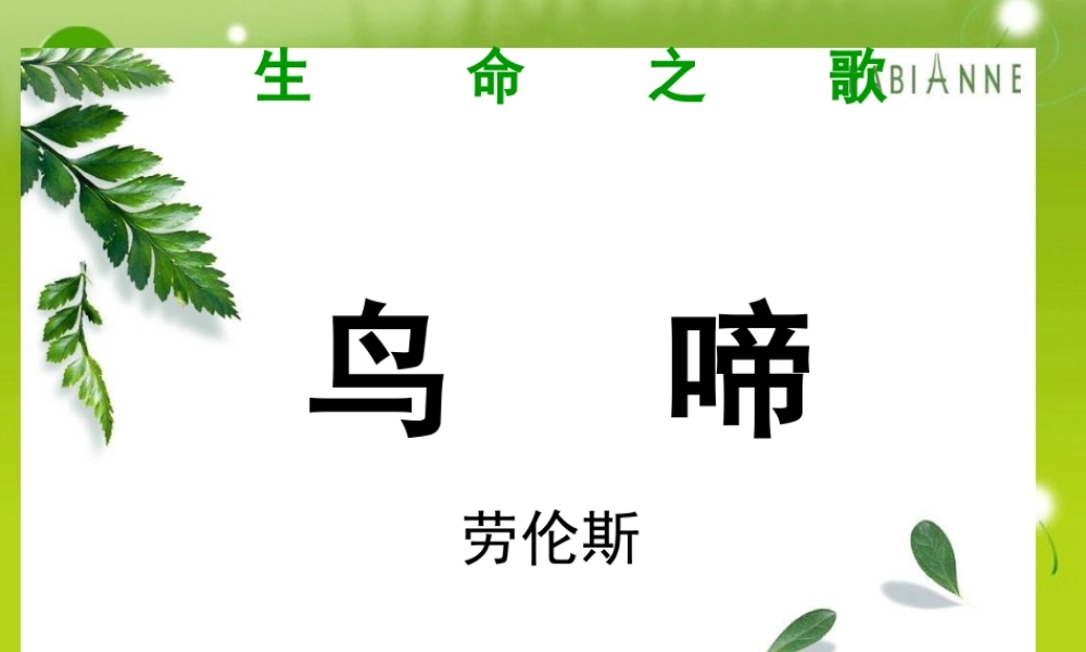 高中语文 鸟啼公开课精品课件