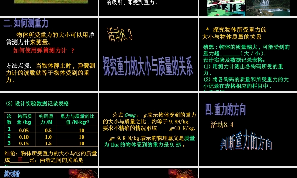 8.2《重力、力的示意图》ppt课件