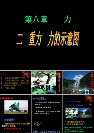 8.2《重力、力的示意图》ppt课件