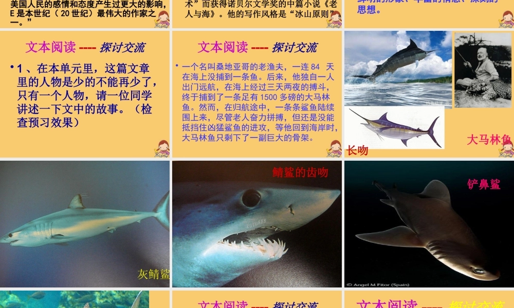 高中语文3老人与海第三课时课件新人教版必修3 课件