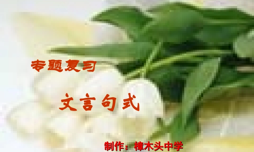 高考语文复专题复习 文言句式 ppt 试题