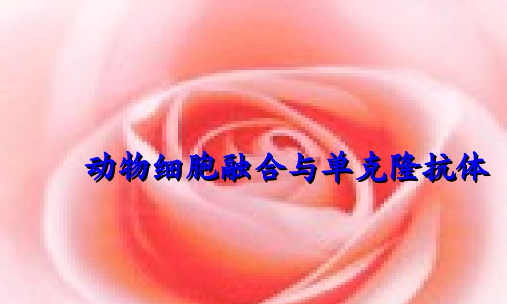 222《动物细胞融合与单克隆抗体》课件