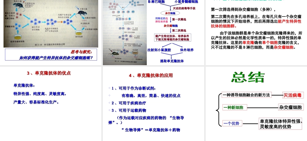 222《动物细胞融合与单克隆抗体》课件