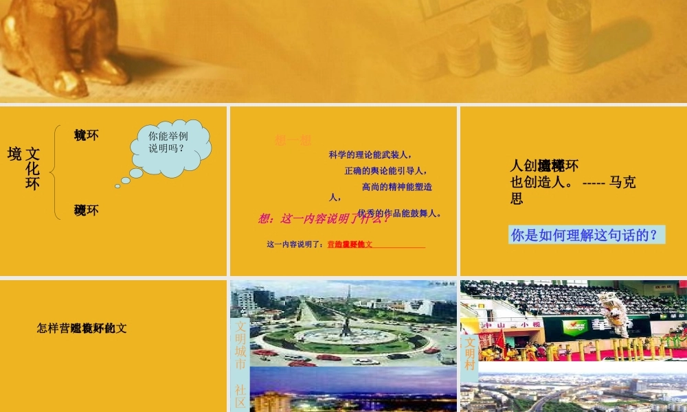 考政治专题复习 营造美好的文化环境 课件 人教新课标版 课件