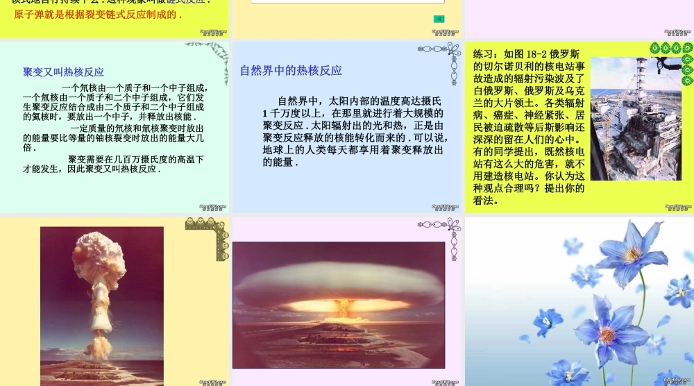 核电站 初三物理核能课件(含flash)苏科版