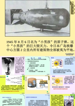 核电站 初三物理核能课件(含flash)苏科版