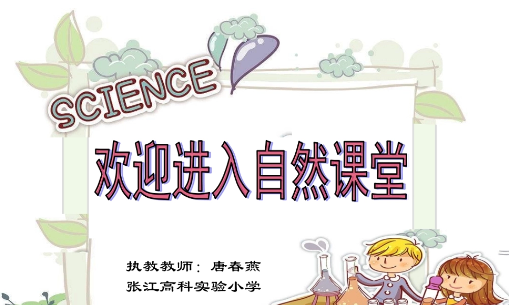 小车的运动与静止