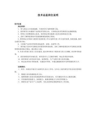 技术总监岗位说明