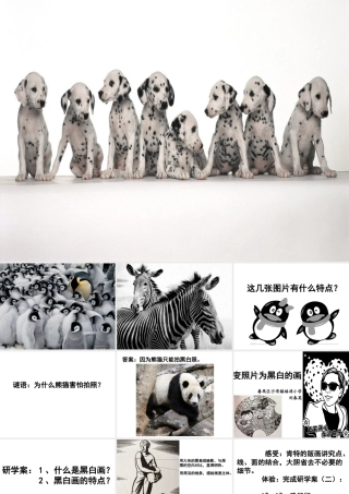 9.变照片为黑白画