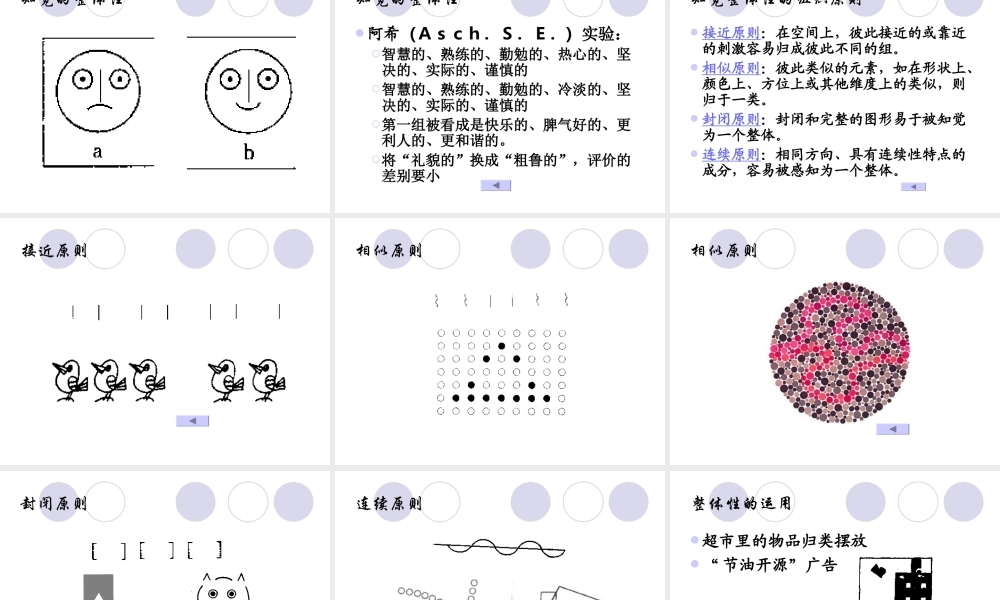 广告心理学大学课件：感觉知觉与消费行为