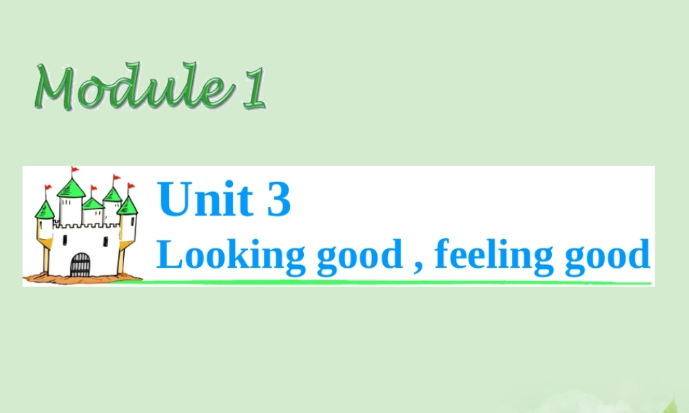 高考英语总复习第一轮 Module1 Unit 3 Looking good，feeling good课件(江苏专版) 课件