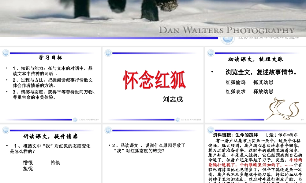 怀念红狐初定稿