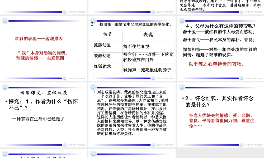 怀念红狐初定稿