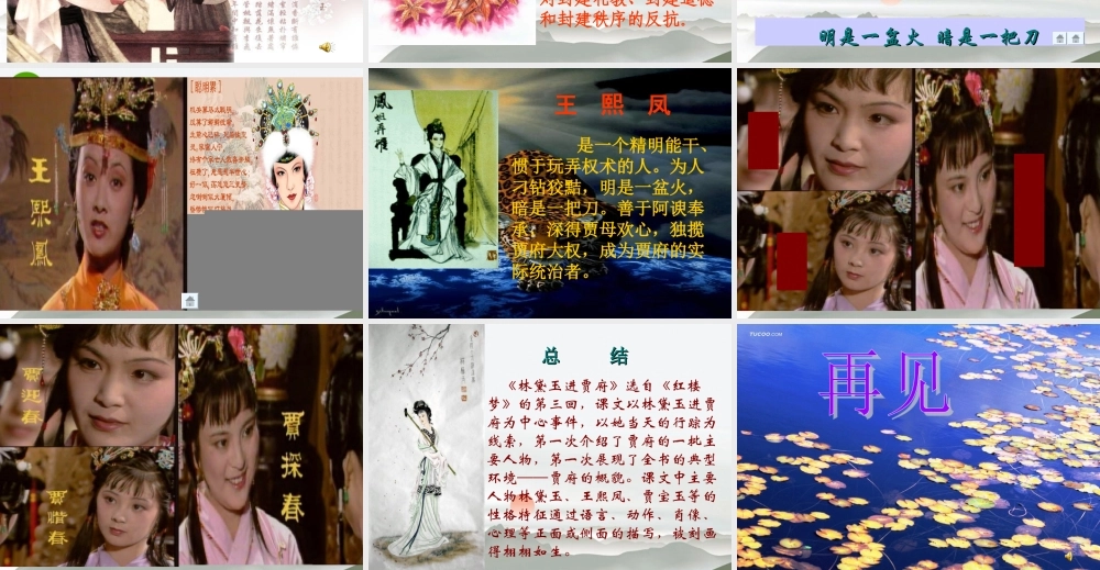 高中语文(林黛玉进贾府)课件(2) 新人教版必修5 课件