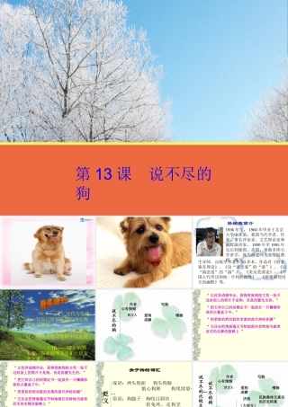 高中语文 第13课(说不尽的狗)课件 粤教版必修2 课件