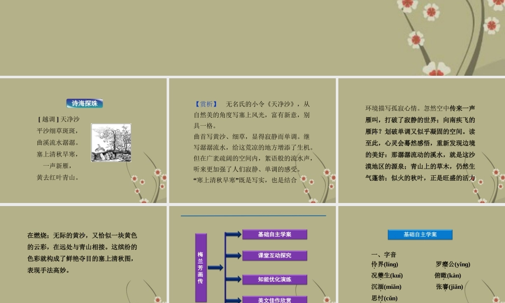 高中语文 专题四梅兰芳画传课件 苏教版选修(传记选读) 课件
