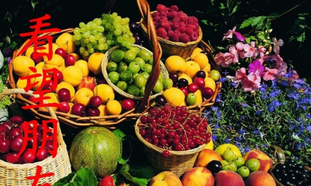 高中数学：离散型随机变量课件 北师大版选修2-3 课件