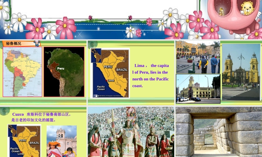 高中英语Unit 5 Travelling abroad-extensive readingppt 课件