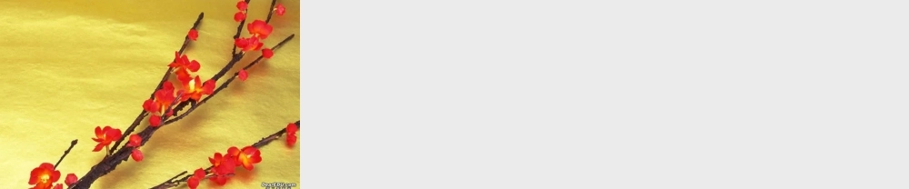 高中语文修辞是一种选择过程课件 人教版 课件