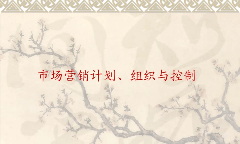 市场营销计划、组织与控制