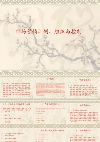 市场营销计划、组织与控制