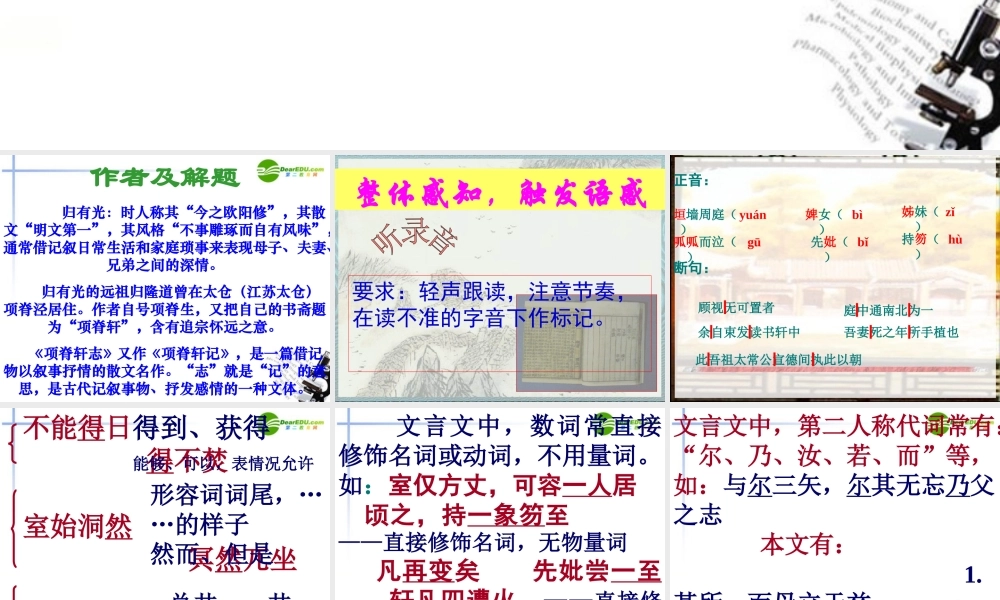 高中语文 第四单元之(项脊轩志)课件(3) 语文版必修2 课件