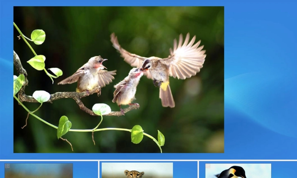 高中语文 1.2(我不是个好儿子)课件 鲁人版必修3 课件