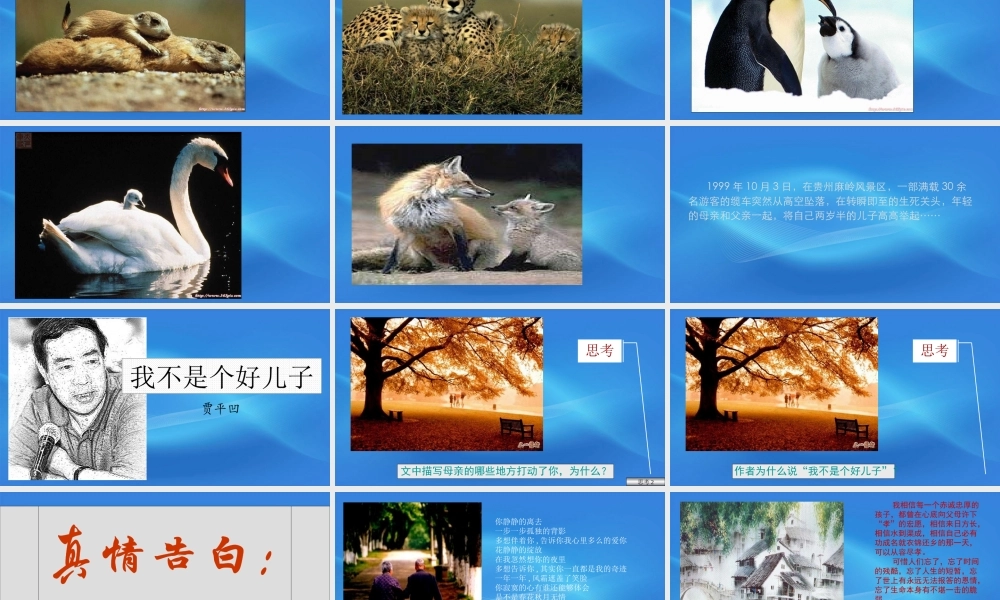 高中语文 1.2(我不是个好儿子)课件 鲁人版必修3 课件