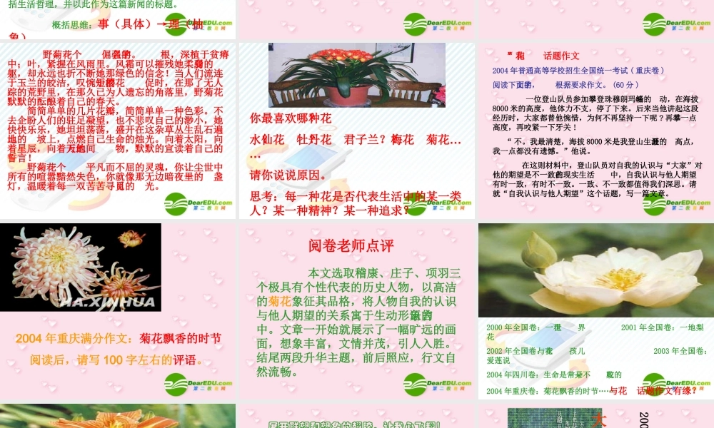 高考作文风景线世间最美丽的花朵 试题