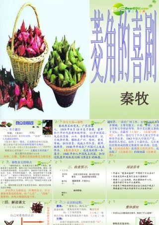 高中语文 第三单元第10课菱角的喜剧课件 粤教版必修2 课件