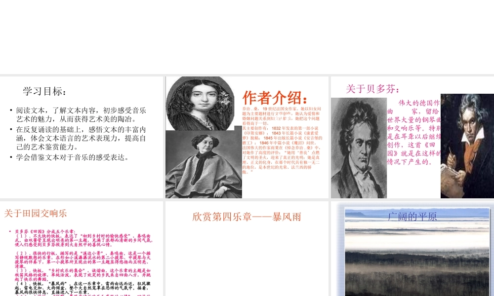 高中语文贝多芬田园交响乐课件 鲁教版 必修1 课件