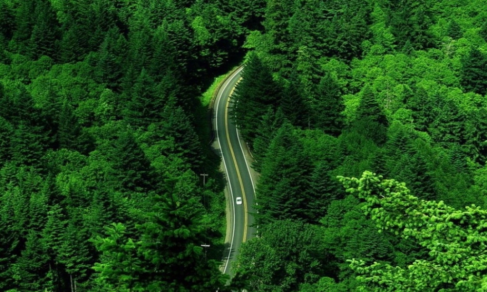 多边形及其内角和练习题