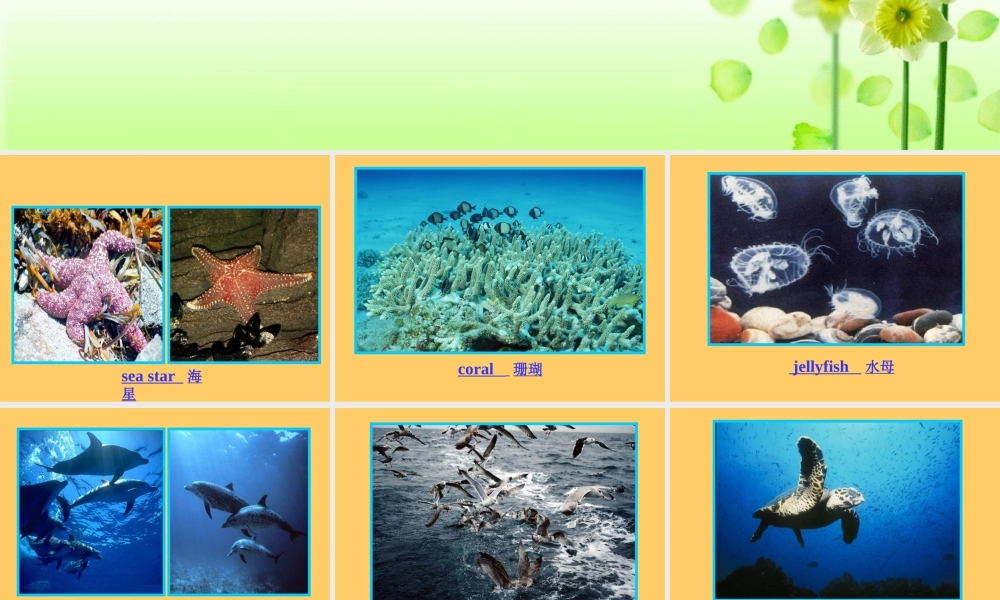 高中英语：Unit 3 Under the sea课件新人教版选修7 课件