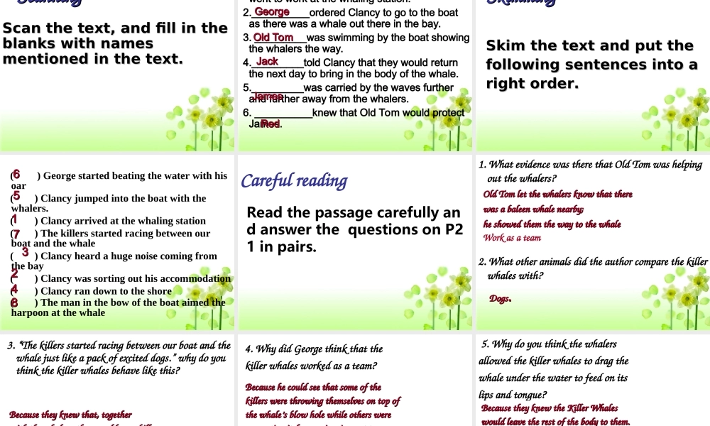 高中英语：Unit 3 Under the sea课件新人教版选修7 课件