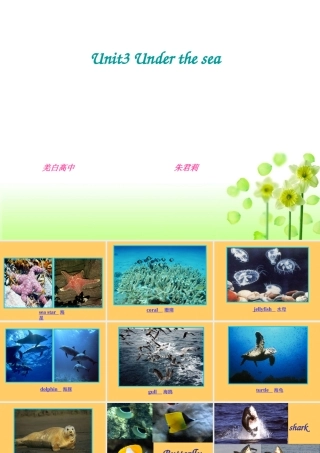 高中英语：Unit 3 Under the sea课件新人教版选修7 课件