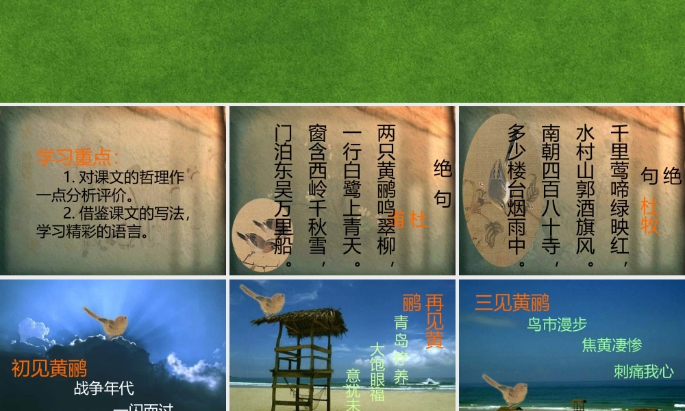 高三语文 黄鹂复习课件