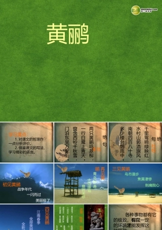 高三语文 黄鹂复习课件