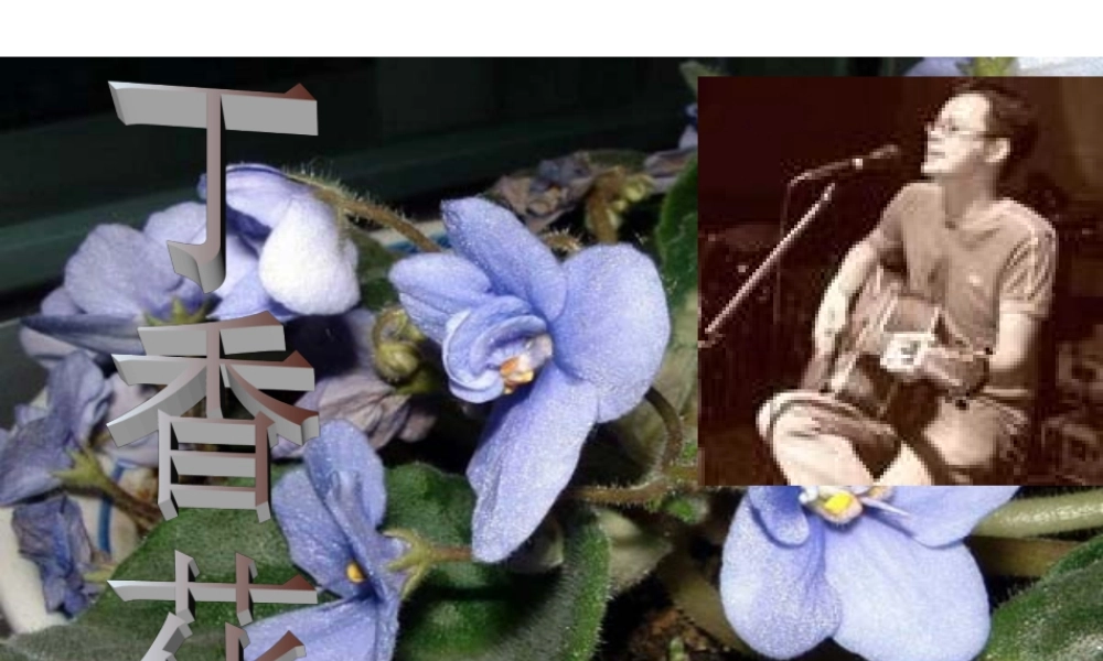 高中语文：11 雨巷 课件(3) 沪教版第五册 课件