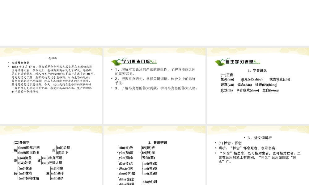 高中语文 413(在马克思墓前的讲话)课件 新人教版必修2 课件