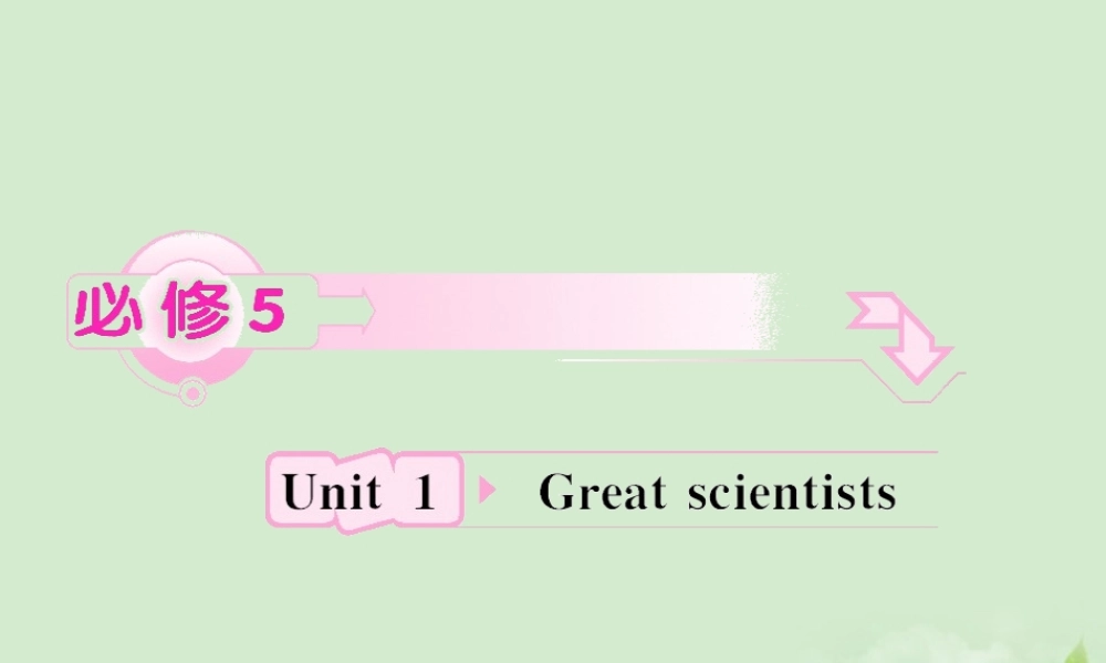 高考英语 Unit1知识与要点课件 新人教版必修5 课件